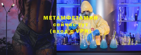 прущие грибы Балахна