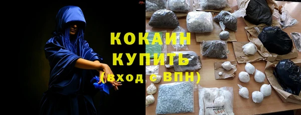 прущие грибы Балахна