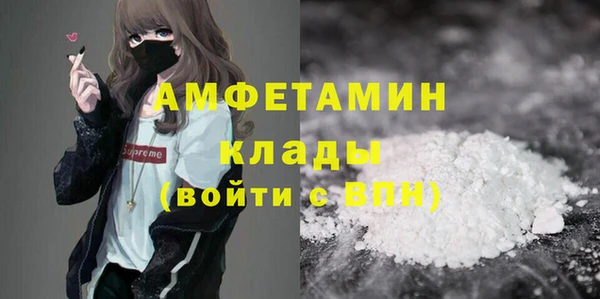прущие грибы Балахна