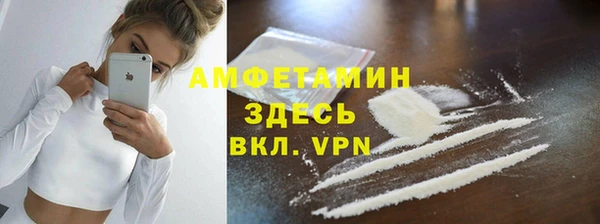 прущие грибы Балахна