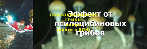 прущие грибы Балахна