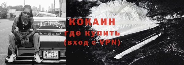шишки Балабаново