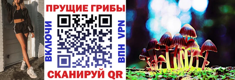 Псилоцибиновые грибы Psilocybe  ссылка на мегу ТОР  Новоульяновск 